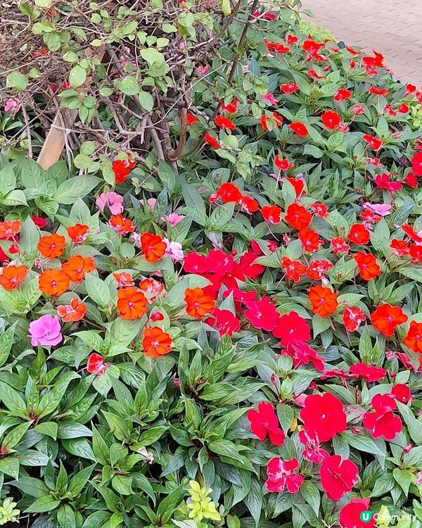 攝影好去處