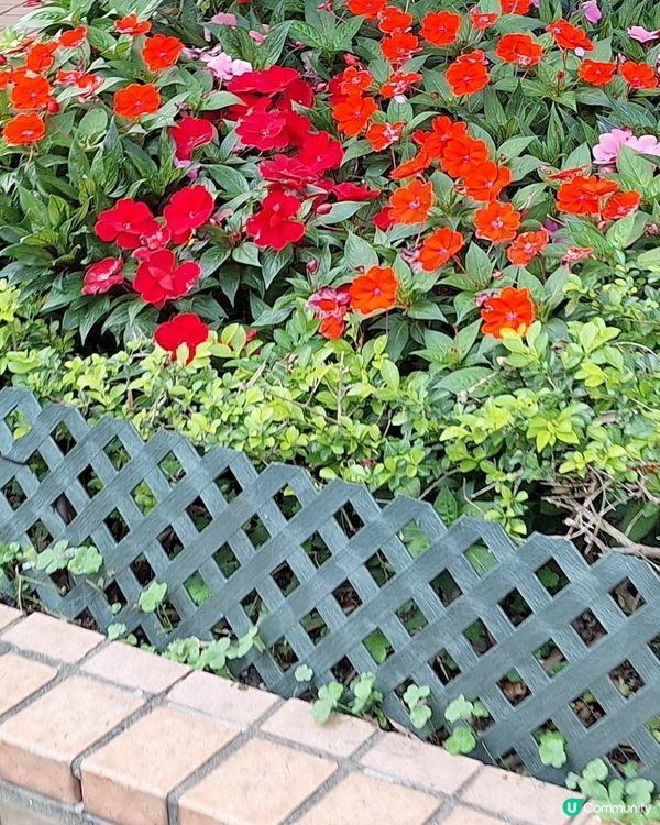 攝影好去處