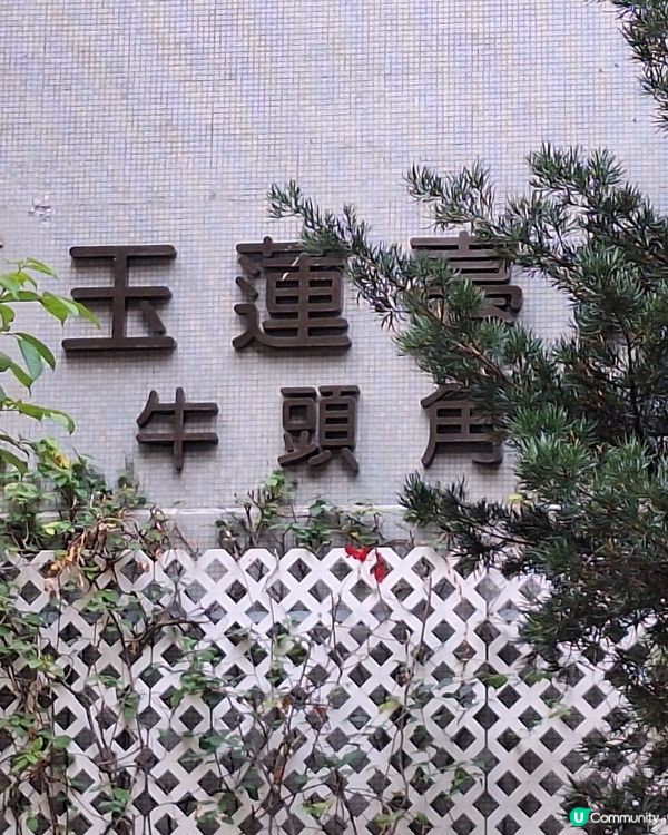 攝影好去處