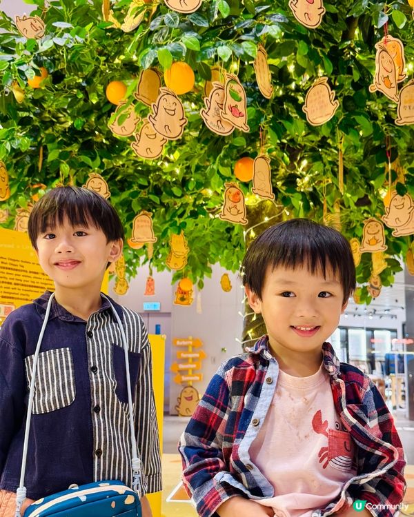 東涌卡樂B大派對