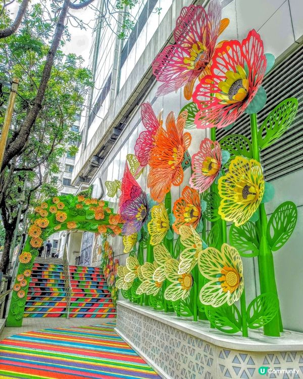 鬧市中的隱世打卡點🌼🌸🌺🏵️