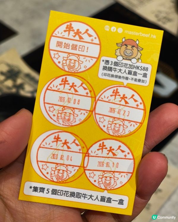 荃灣牛大人｜金湯龍蝦鍋配和牛 冬日進補首選