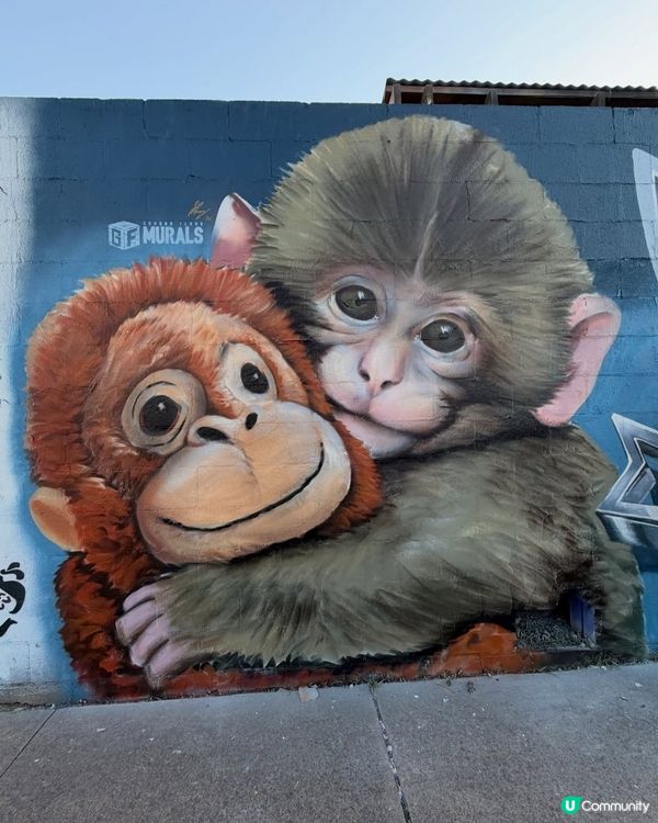 人氣🐒可愛小猴Panchi有塗鴉畫🐵💕