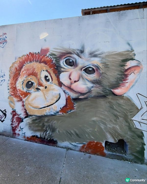 人氣🐒可愛小猴Panchi有塗鴉畫🐵💕