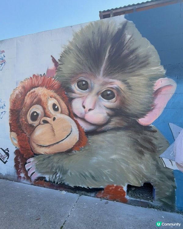 人氣🐒可愛小猴Panchi有塗鴉畫🐵💕