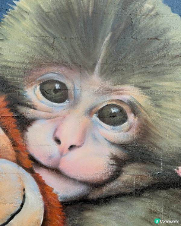 人氣🐒可愛小猴Panchi有塗鴉畫🐵💕