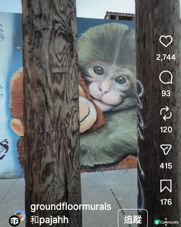 人氣🐒可愛小猴Panchi有塗鴉畫🐵💕