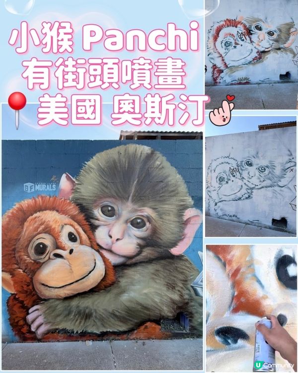 人氣🐒可愛小猴Panchi有塗鴉畫🐵💕