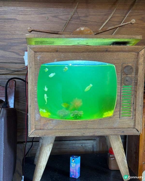 超正越南咖啡☕️古城打卡！