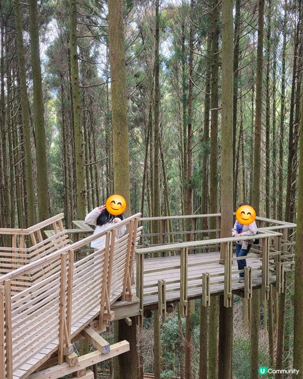 山上瀑布⛲️山下森林咖啡☕️