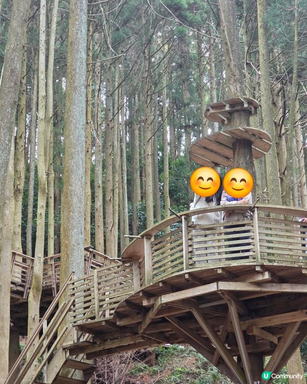 山上瀑布⛲️山下森林咖啡☕️