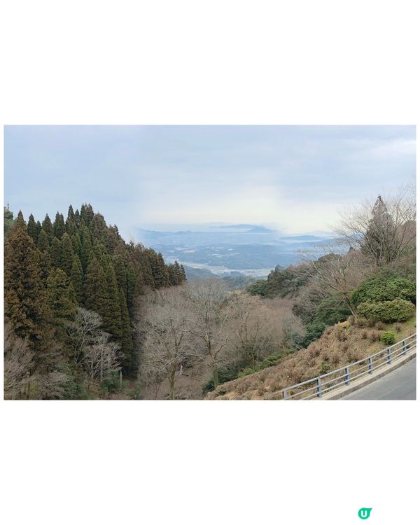 山上瀑布⛲️山下森林咖啡☕️