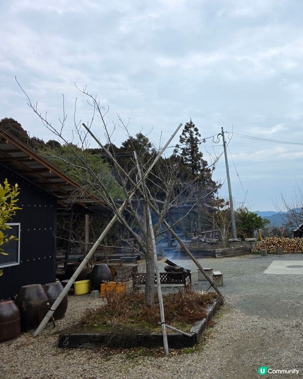 山上瀑布⛲️山下森林咖啡☕️