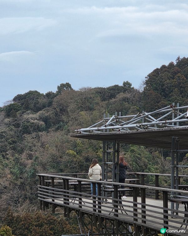 山上瀑布⛲️山下森林咖啡☕️