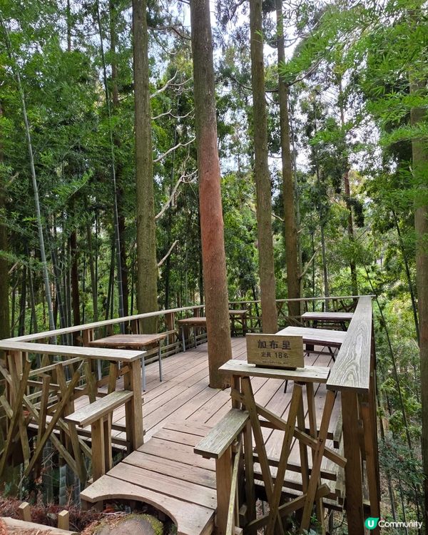 山上瀑布⛲️山下森林咖啡☕️