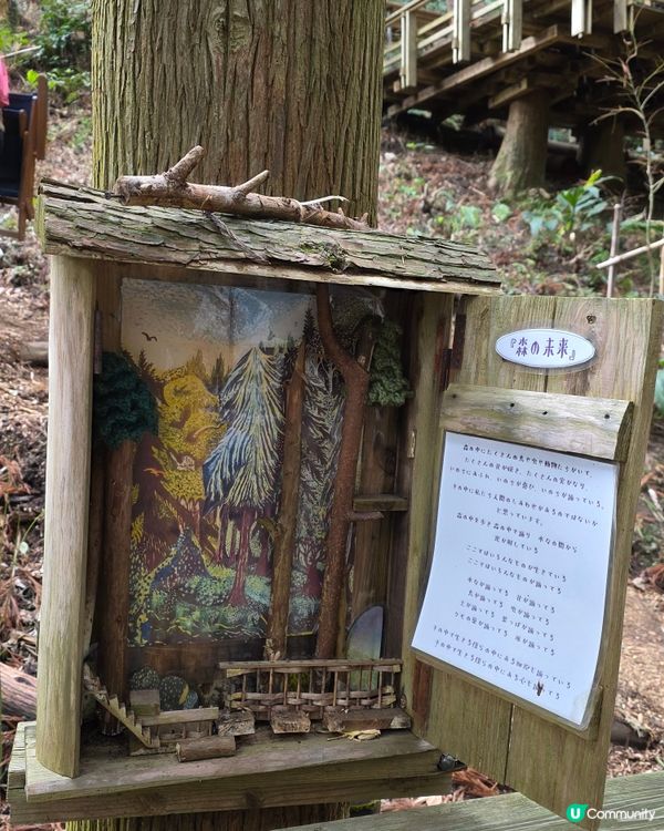 山上瀑布⛲️山下森林咖啡☕️