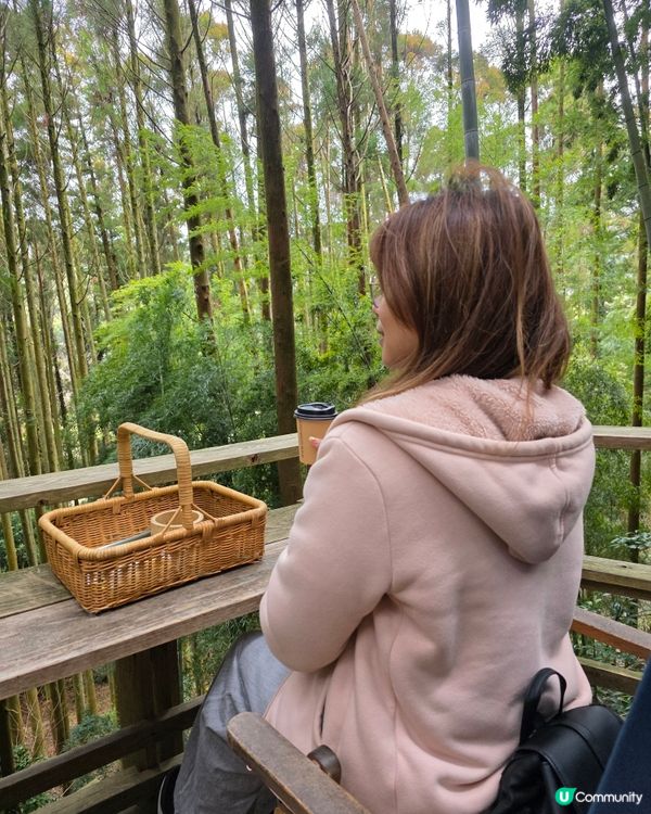 山上瀑布⛲️山下森林咖啡☕️