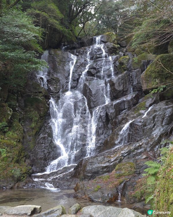 山上瀑布⛲️山下森林咖啡☕️