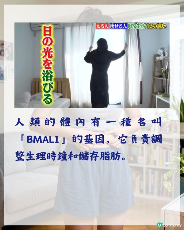 3000人實測有效❗️日本專家揭7個致肥日常習慣😱飯前原來要做「1件事」🍴