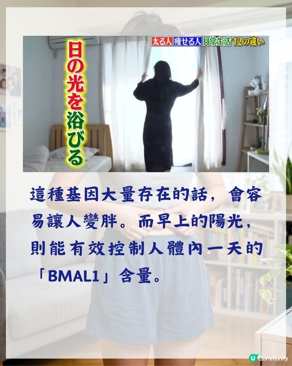 3000人實測有效❗️日本專家揭7個致肥日常習慣😱飯前原來要做「1件事」🍴