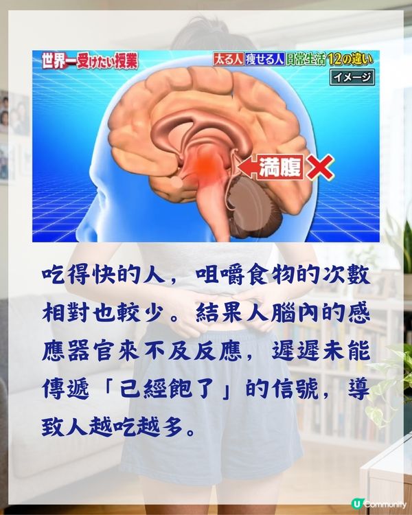 3000人實測有效❗️日本專家揭7個致肥日常習慣😱飯前原來要做「1件事」🍴