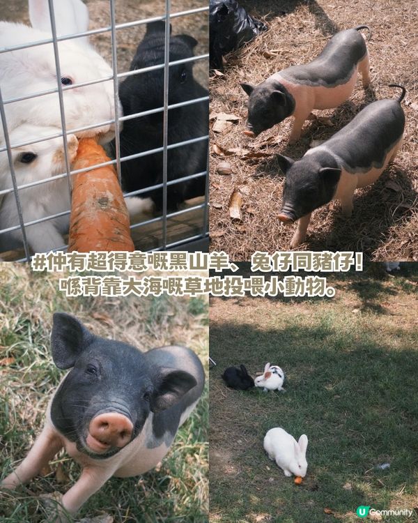 深圳竟然收埋個「濟州島」？超夢幻玻璃海＋懸崖溶洞