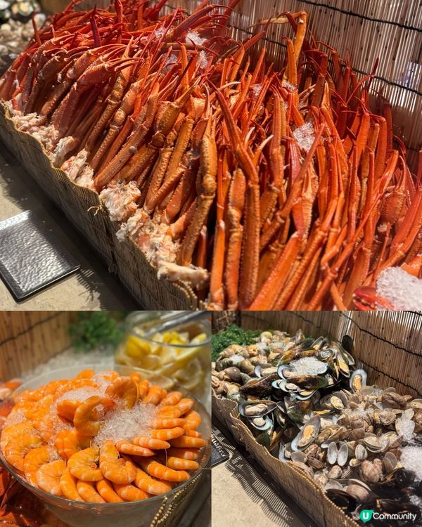 銅鑼灣任食海鮮和牛鵝肝🩷多到眼花缭亂🦞