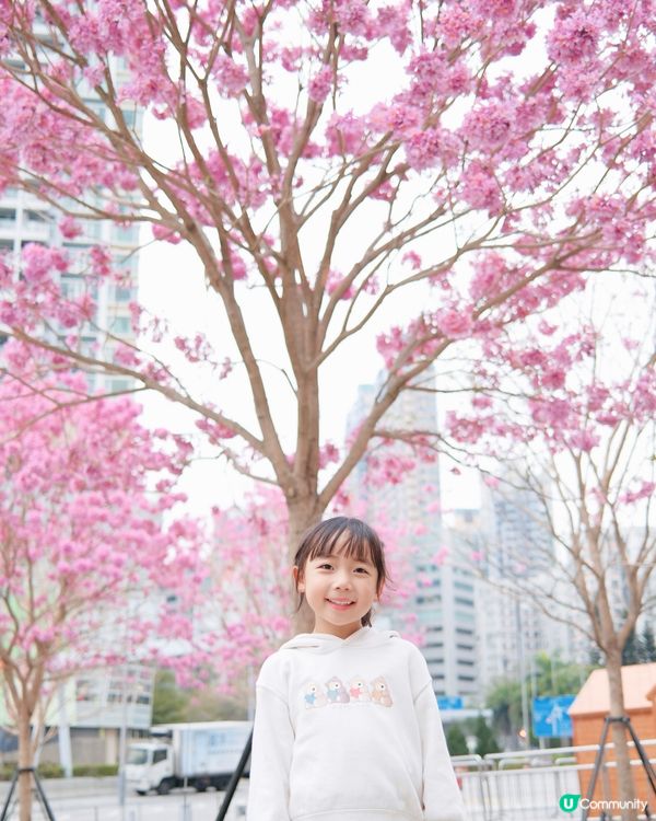 💥奧海城巨型新樂園💥👶🥳