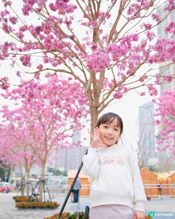 💥奧海城巨型新樂園💥👶🥳