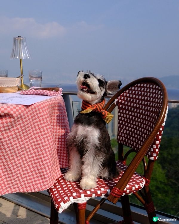 情人節首選 | 山頂全景寵物友善扒房•同媽咪浪漫「撐枱腳」