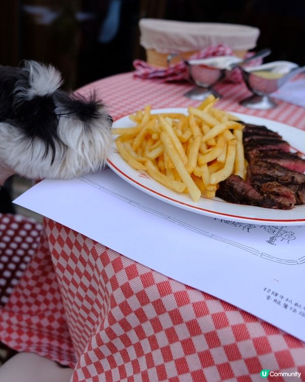 情人節首選 | 山頂全景寵物友善扒房•同媽咪浪漫「撐枱腳」