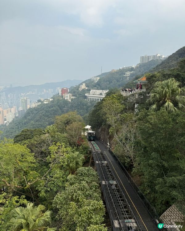 情人節首選 | 山頂全景寵物友善扒房•同媽咪浪漫「撐枱腳」