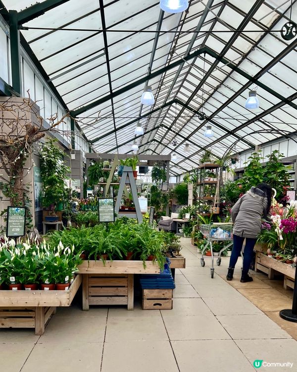 『英國』週末好去處🪴🌱🌿一站式Garden Centre🍪☕️