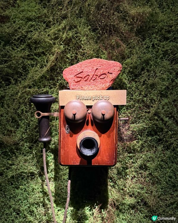 藏在防空洞裡的沉浸式西班牙私房菜🤩