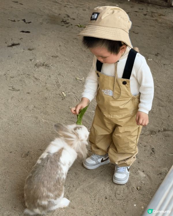 小朋友係農場餵小白兔、係公園玩沙同係迪士尼遊玩。全部都係一家...