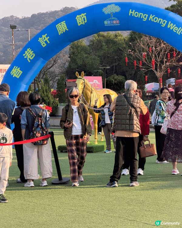 每年新年必去林村許願樹，裏面有不少懷舊茶果，嫩滑豆腐花，當然...