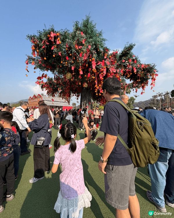 每年新年必去林村許願樹，裏面有不少懷舊茶果，嫩滑豆腐花，當然...