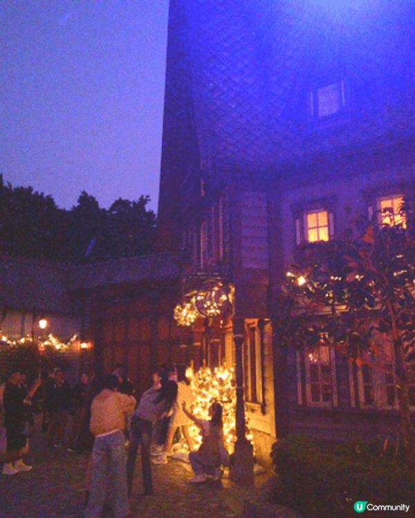 呢張照片係聖誕節期間嘅迪士尼夜景，燈飾閃爍，充滿節日氣氛。夜...