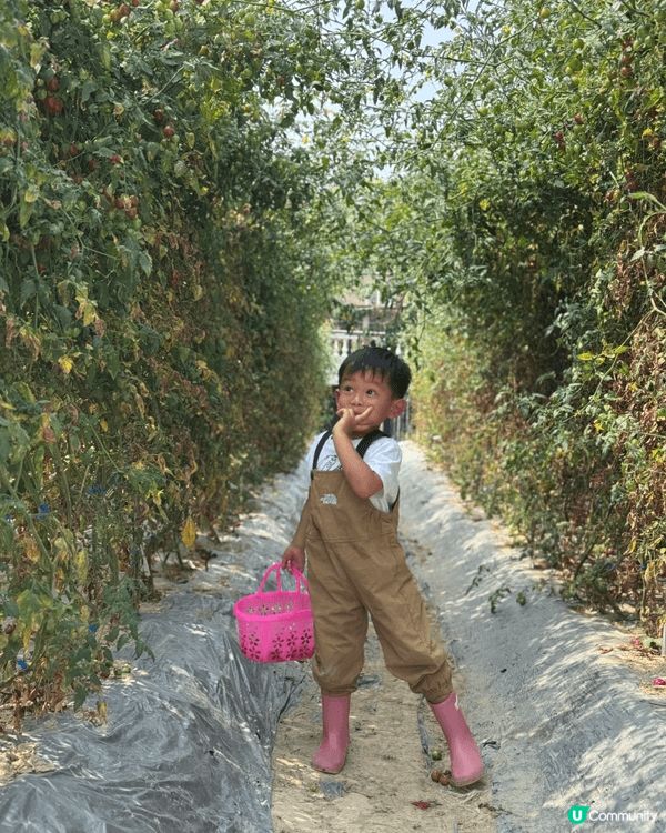 圖一 青衣西南體育館兒童遊戲室