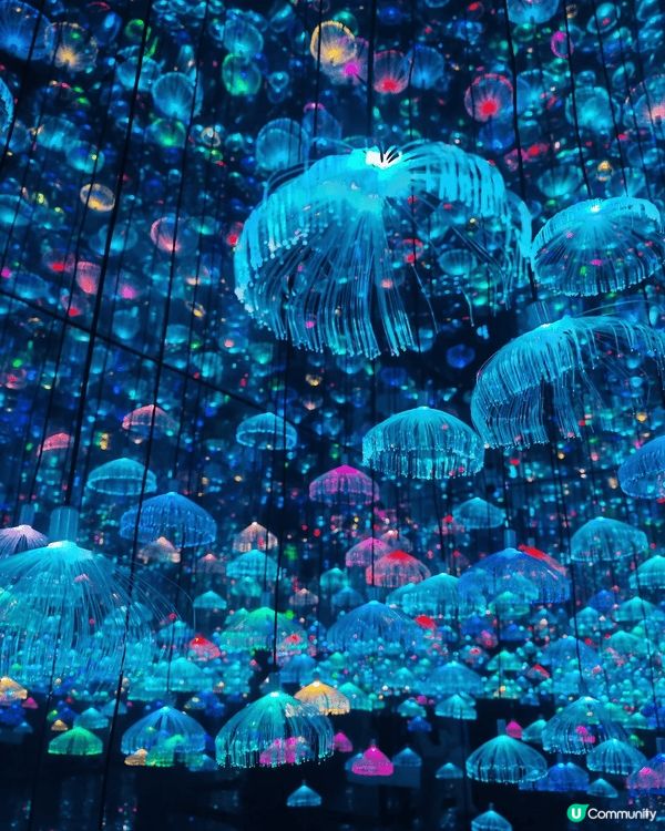 深圳龍崗兒童公園係一個親子好地方，除了可以免費任玩十大無動力...