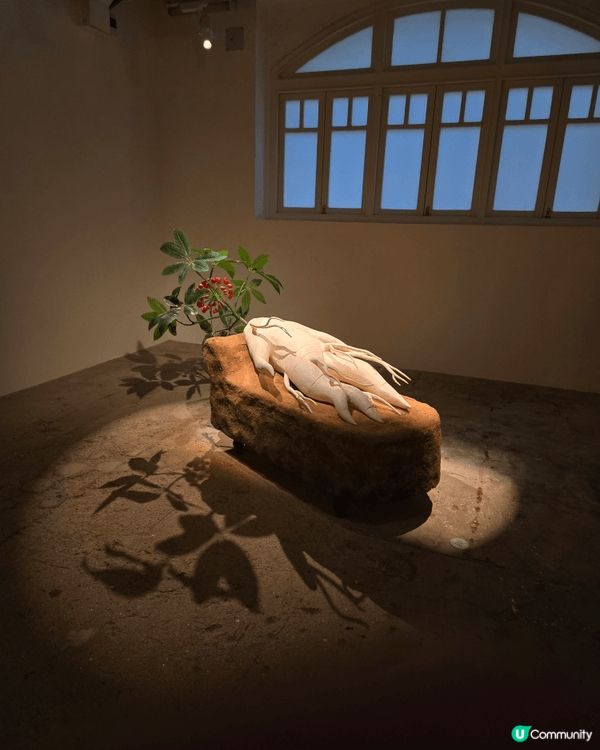 油街實現，這個展覽的主題已轉換了，這地點不停會有展覽，雖然較...