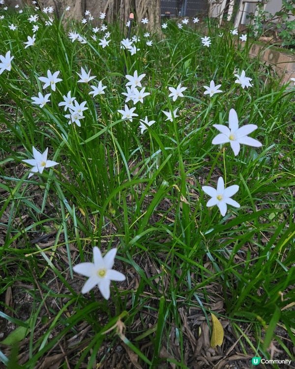 油街實現，這個展覽的主題已轉換了，這地點不停會有展覽，雖然較...