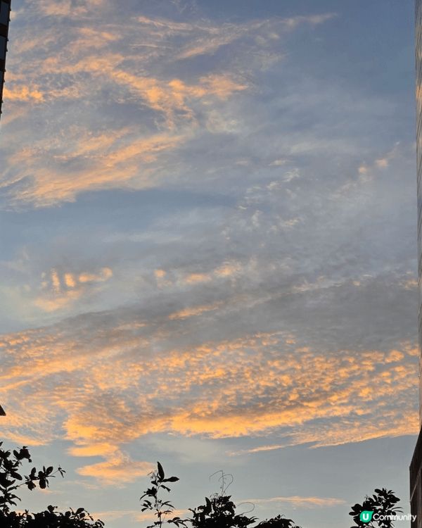 油街實現，這個展覽的主題已轉換了，這地點不停會有展覽，雖然較...