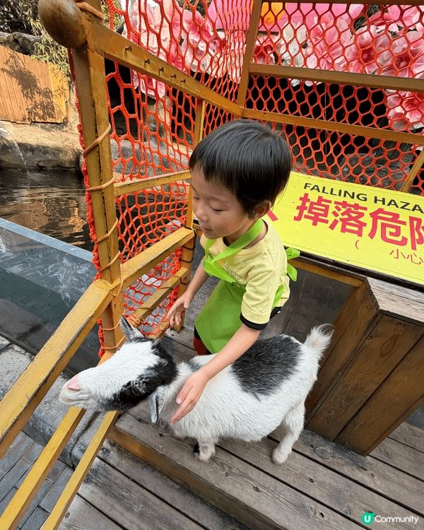 很好的動物園 有很多互動體驗 小孩很喜歡 大人都玩得開心