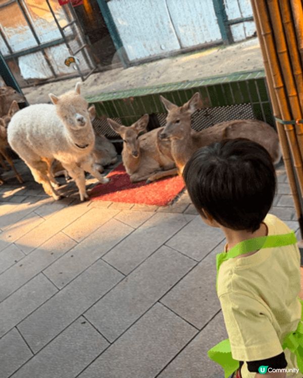很好的動物園 有很多互動體驗 小孩很喜歡 大人都玩得開心