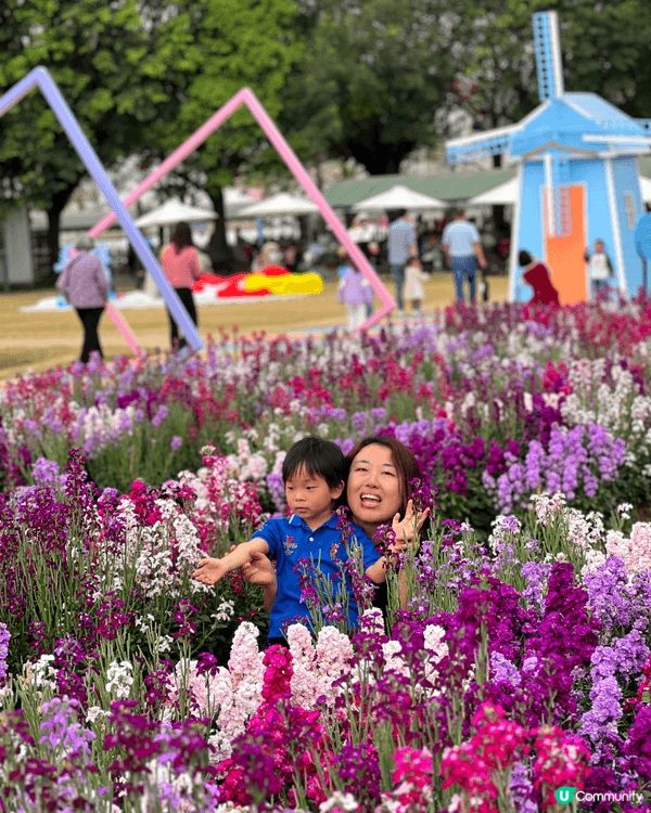 佛山高明2天一夜