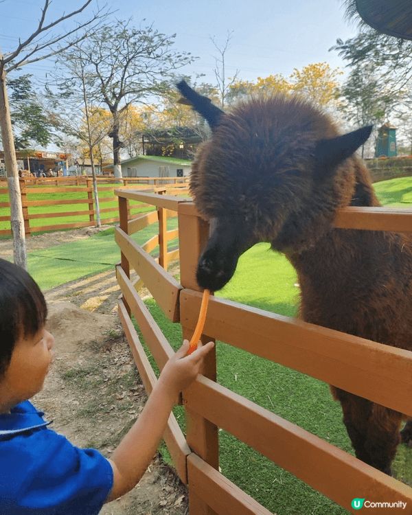 佛山高明2天一夜