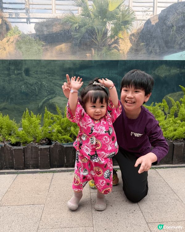 濕地公園生態豐富，孩子能近距離觀察自然。步道設計安全，遊玩中...