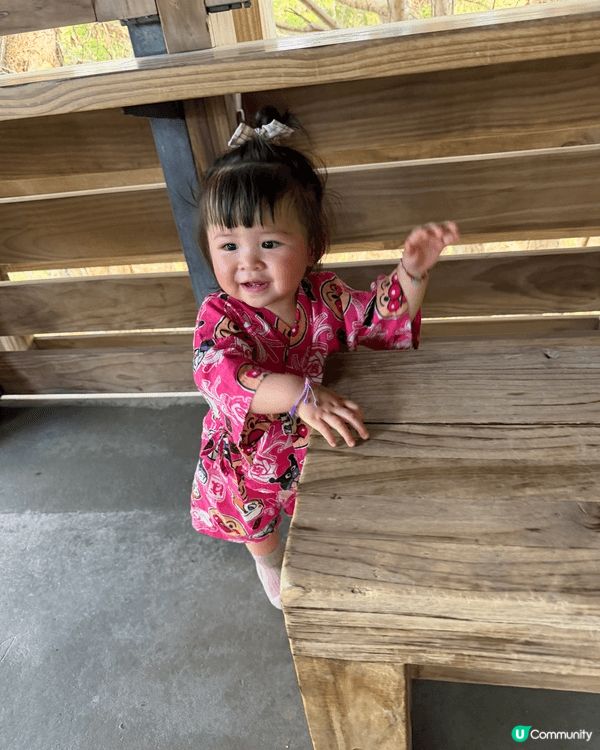 濕地公園生態豐富，孩子能近距離觀察自然。步道設計安全，遊玩中...