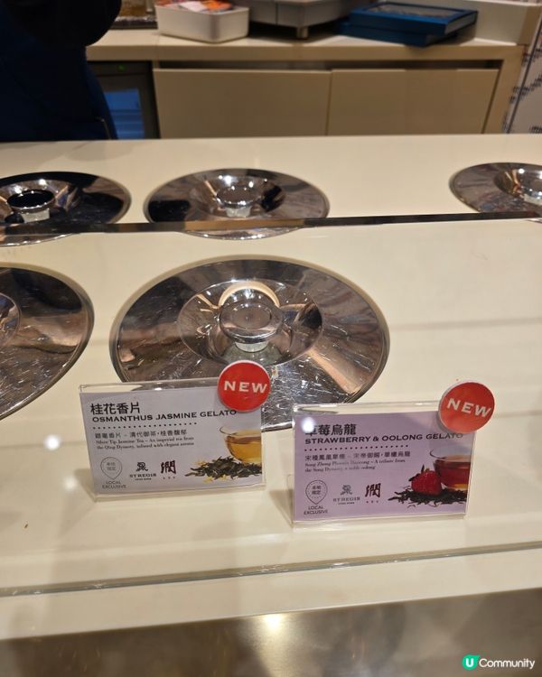 【雪糕試食】IFC Venchi 開心果VS特濃黑朱古力